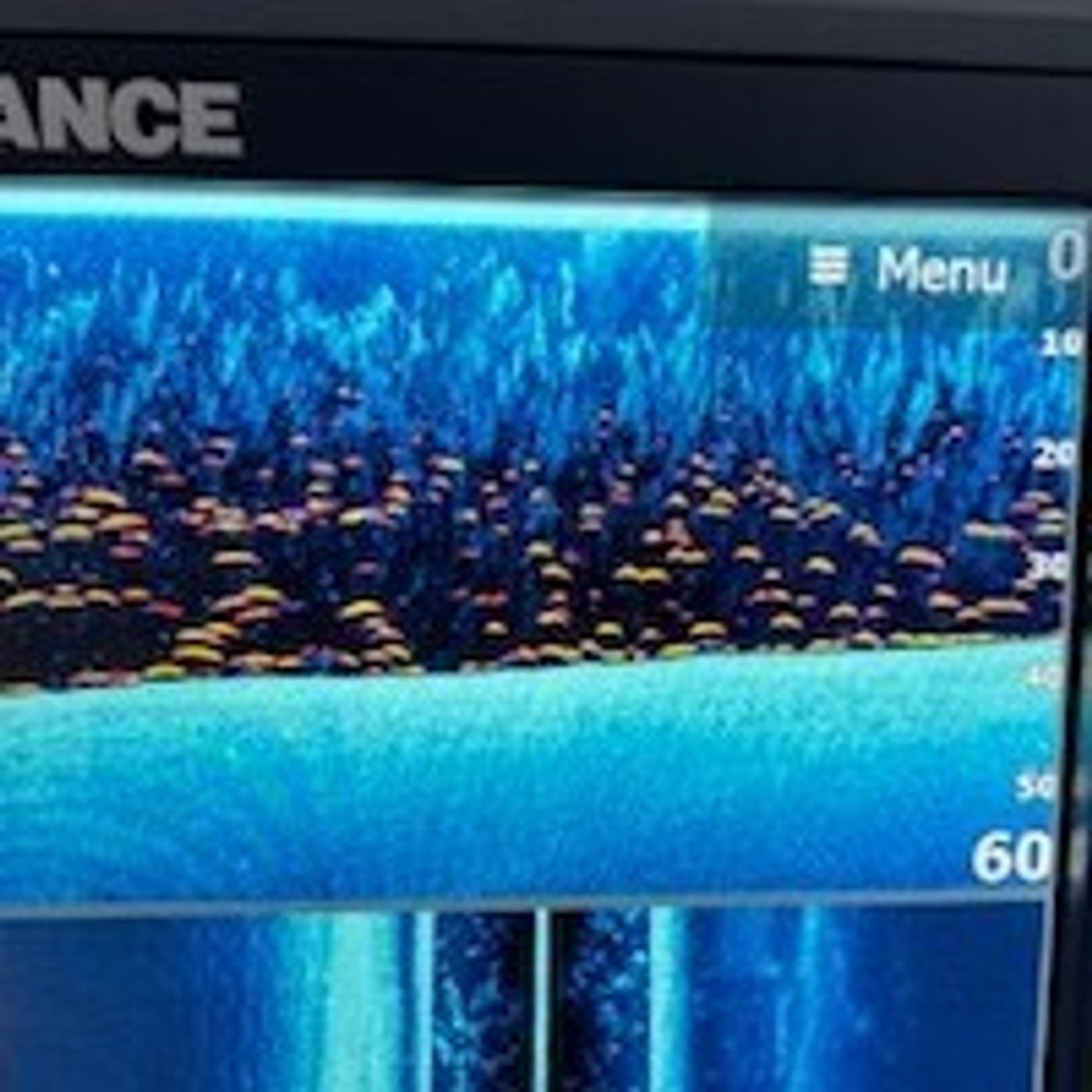 All Eyes On Fishing\'s Podcast