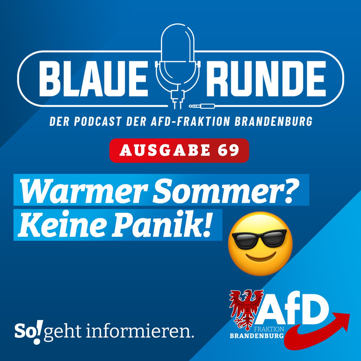 Die Blaue Runde - der Podcast der AfD-Fraktion Brandenburg