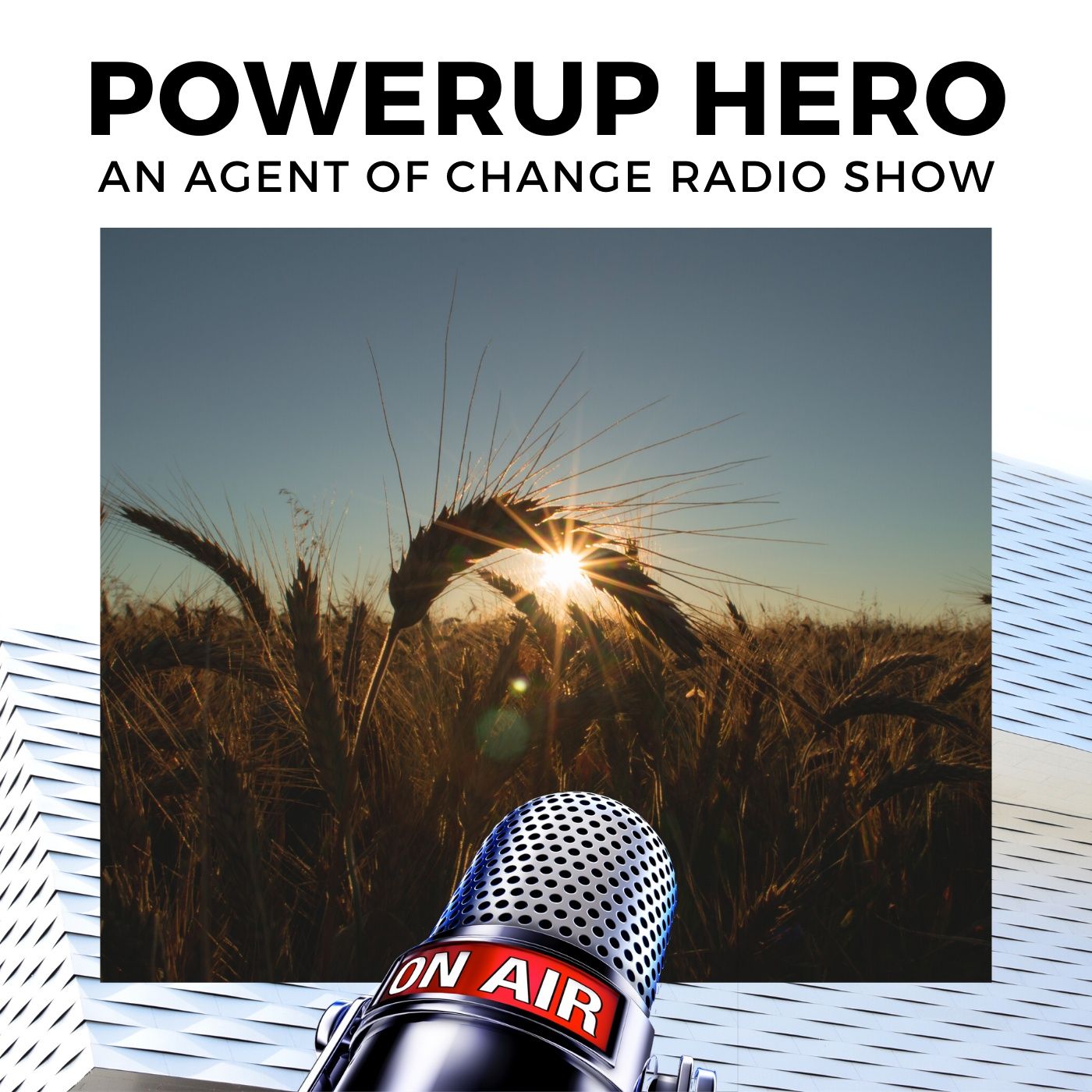PowerUp Hero Show