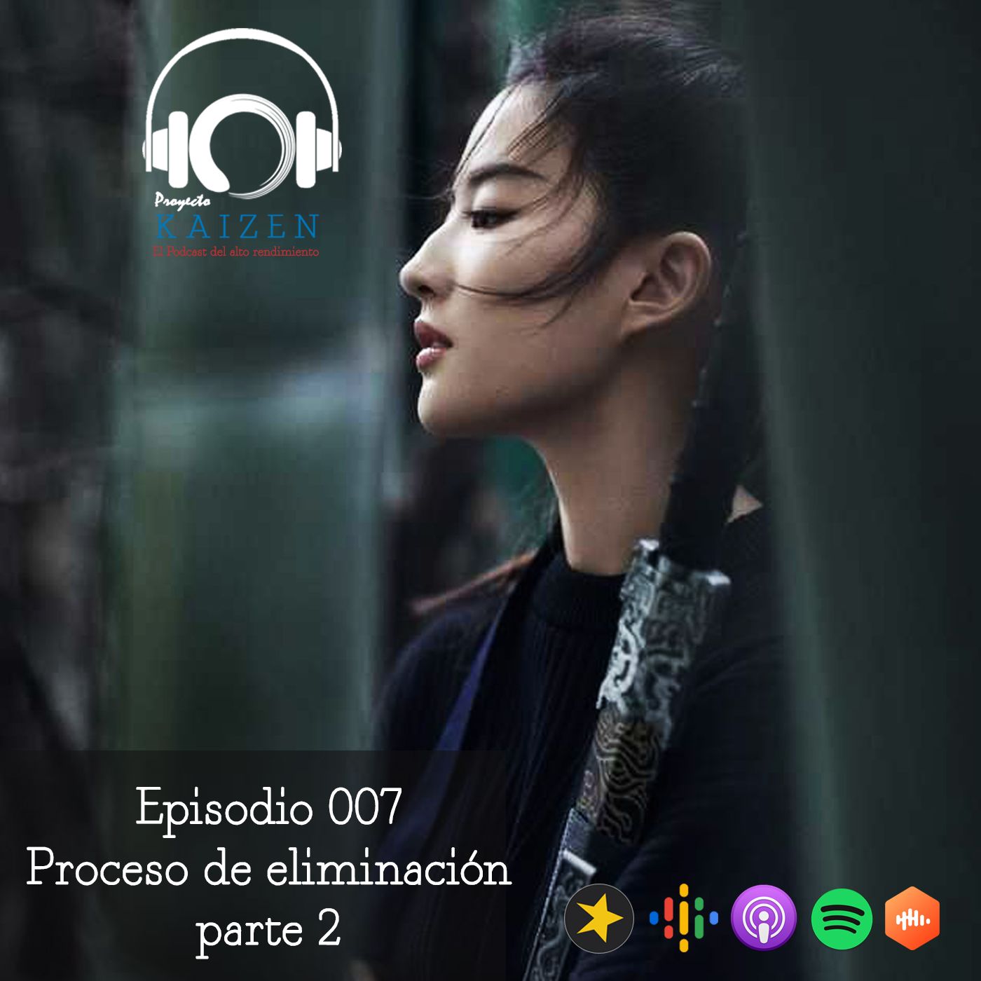 Proyecto Kaizen