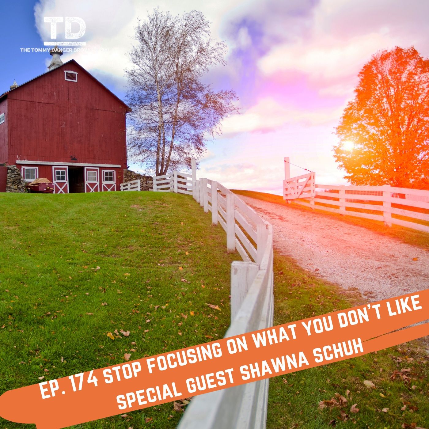 Ep. 174 Stop Focusing on what you don't like - Special Guest Shawna Schuh episode artwork