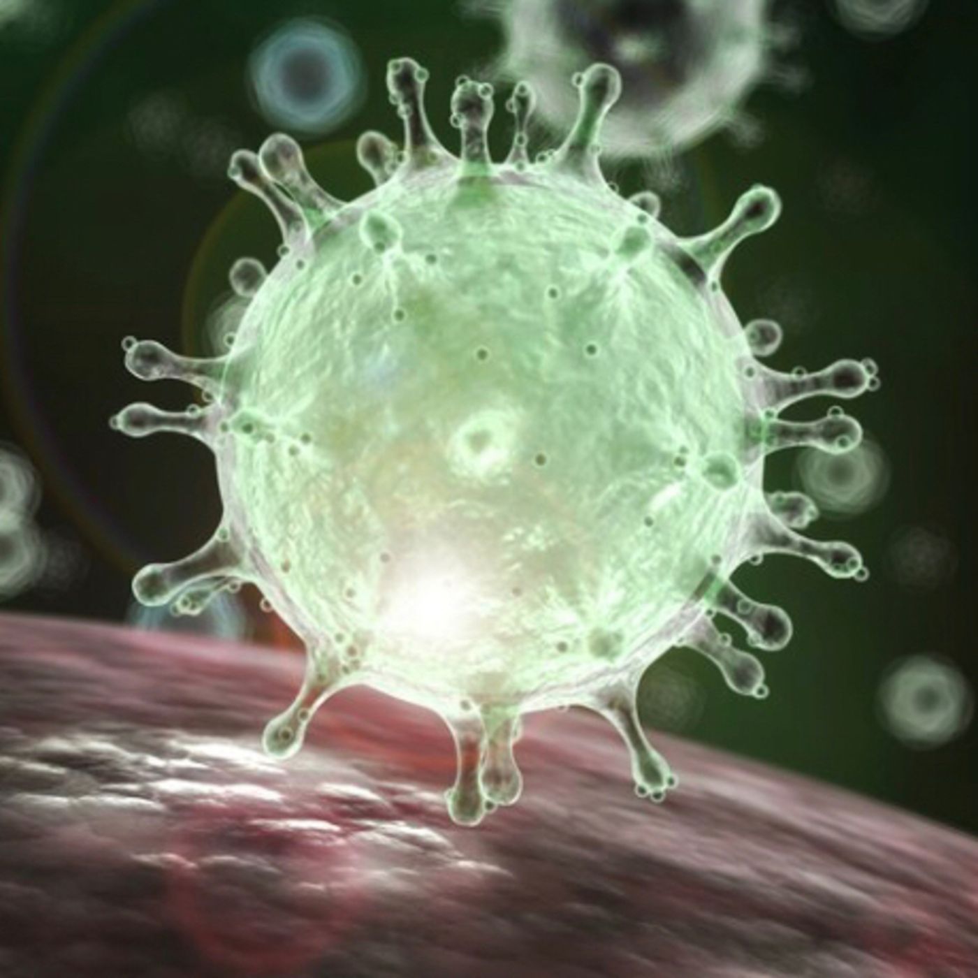Living in L.A. -Corona Virus