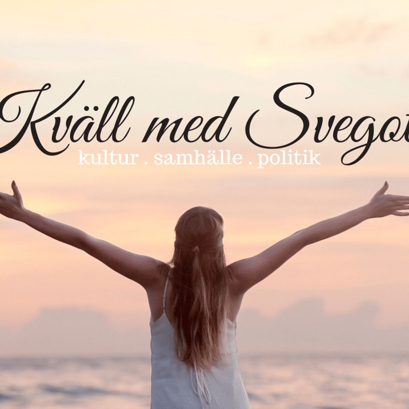 Det fria Sverige