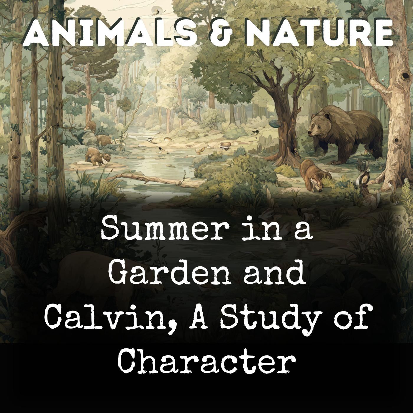 Summer in a Garden and Calvin, A Study of Character cover art