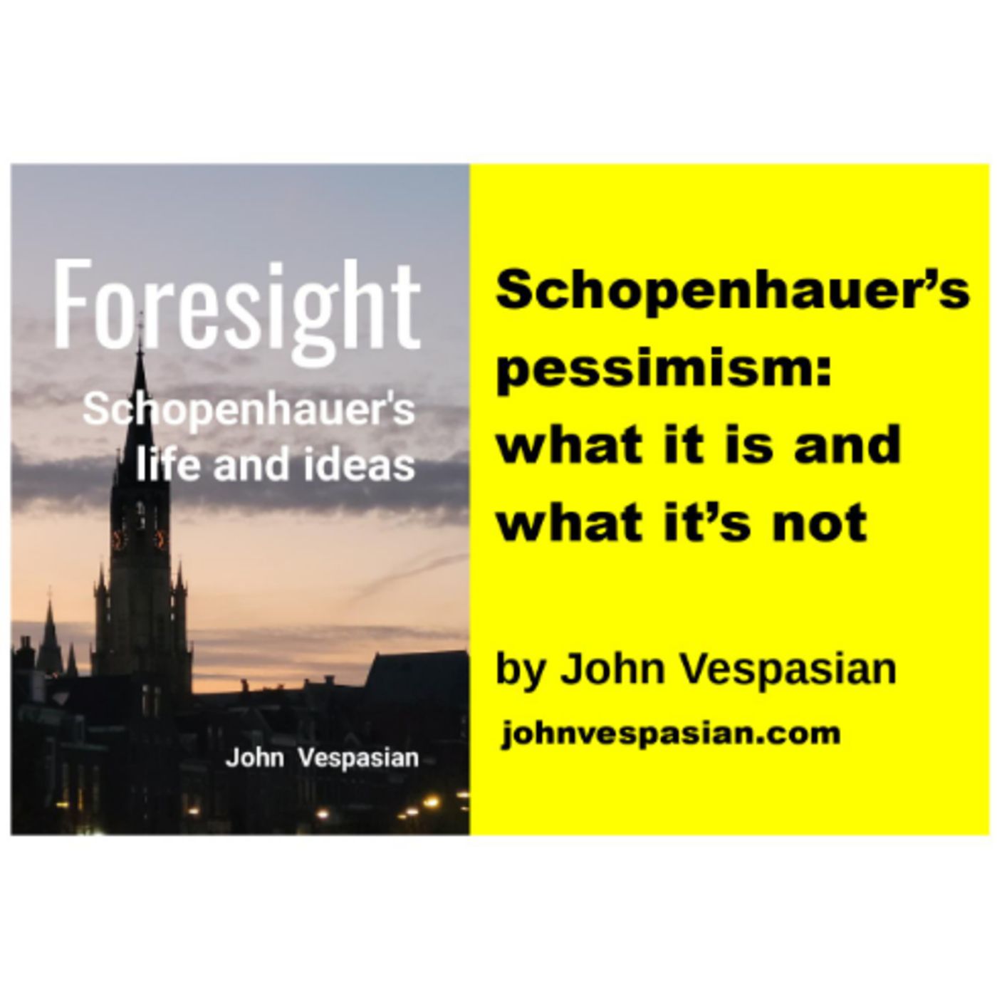 Schopenhauer’s pessimism: what it is and what it’s not episode artwork