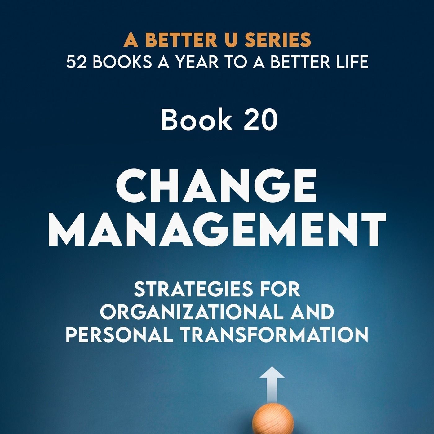 Book 20: Change Management: Strategies For Organizational and Personal Transformation episode artwork