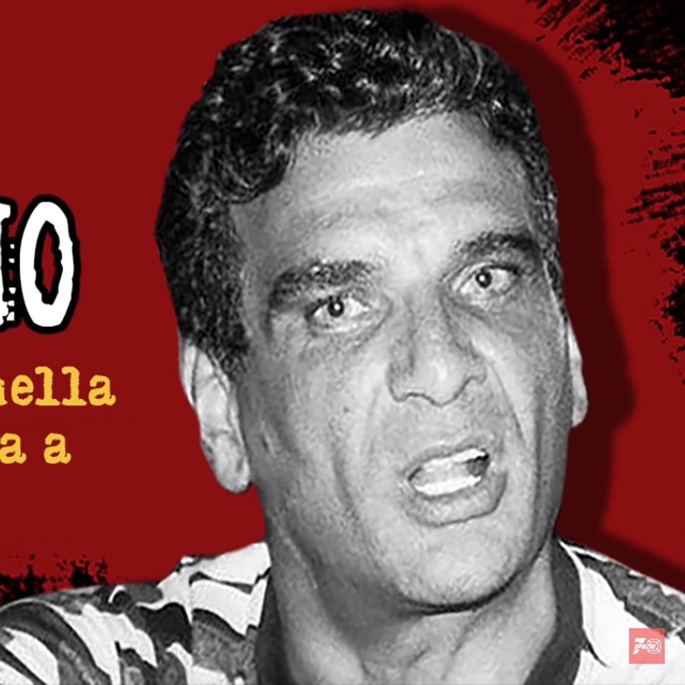 [245] Luigi Giuliano: «Quando parlai con Riina ero in piena guerra con Cutolo» episode artwork