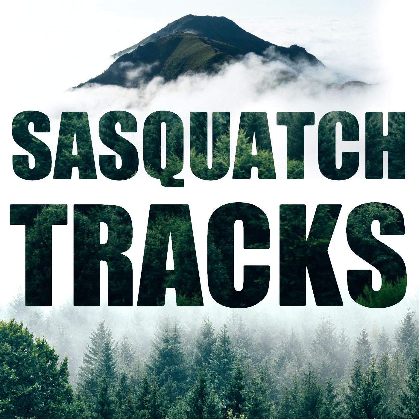 John_Mionczynski -The Biologist and Bigfoot