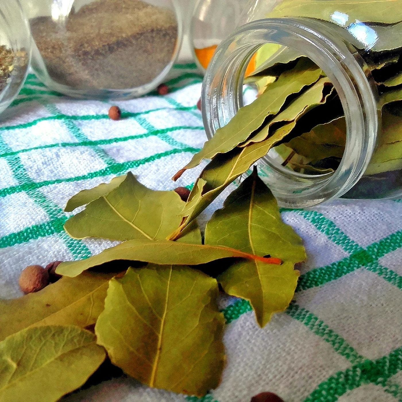 L\'alimentazione by Elisabetta