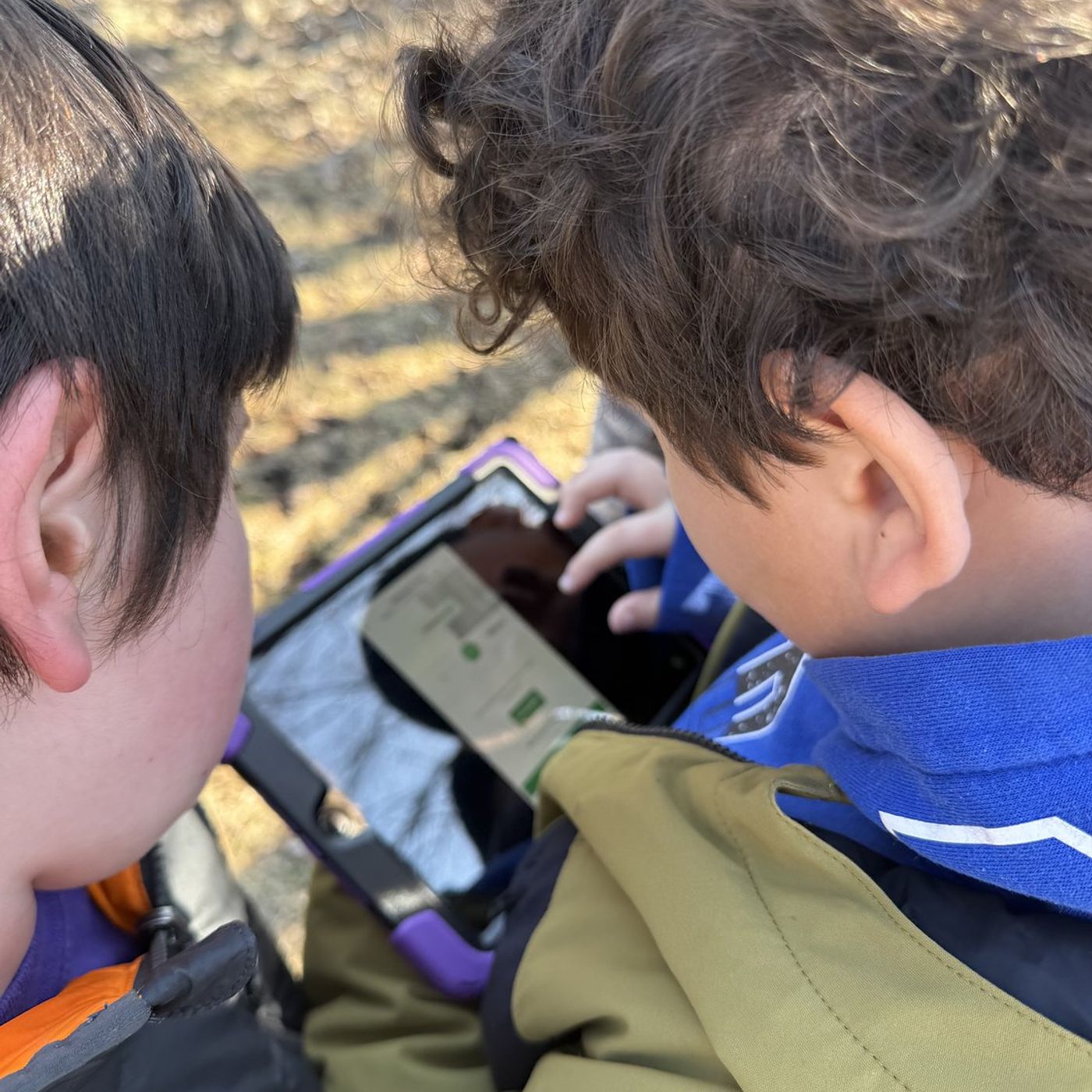 Students at Batavia’s Vanguard Gifted Academy participate in global bird count episode artwork