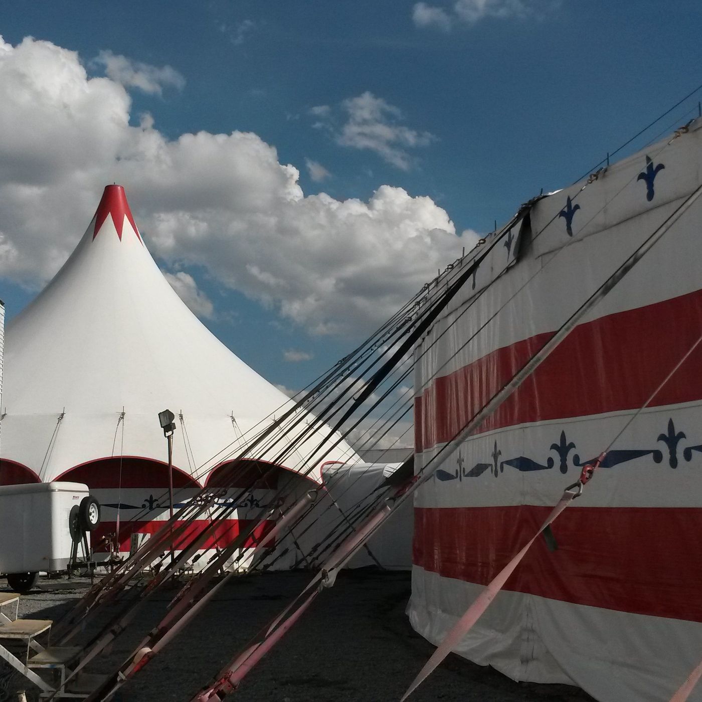 HISTORIAS DE CIRCO