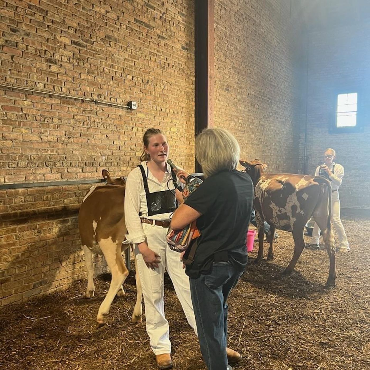 RFD Livestock Report 9-27-24 Alaina Dinderman Dairy Champion from Stephenson County