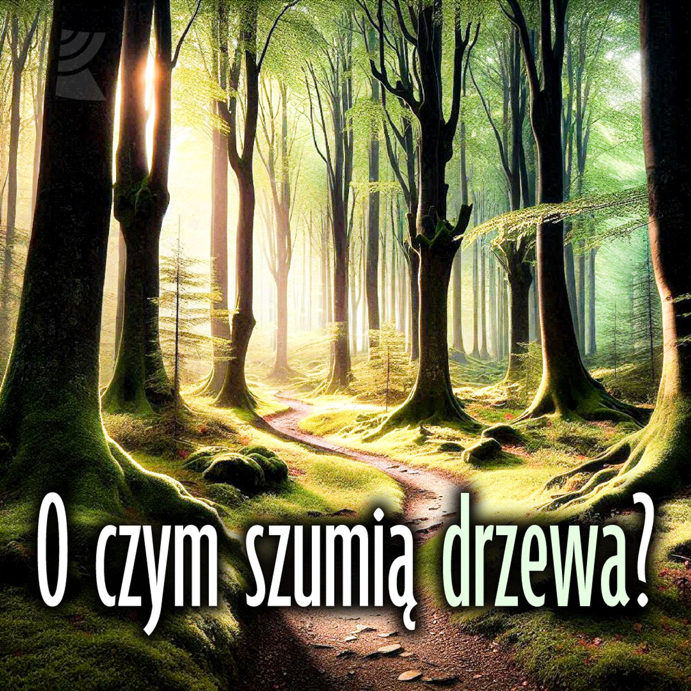 O czym szumią drzewa? podcast artwork