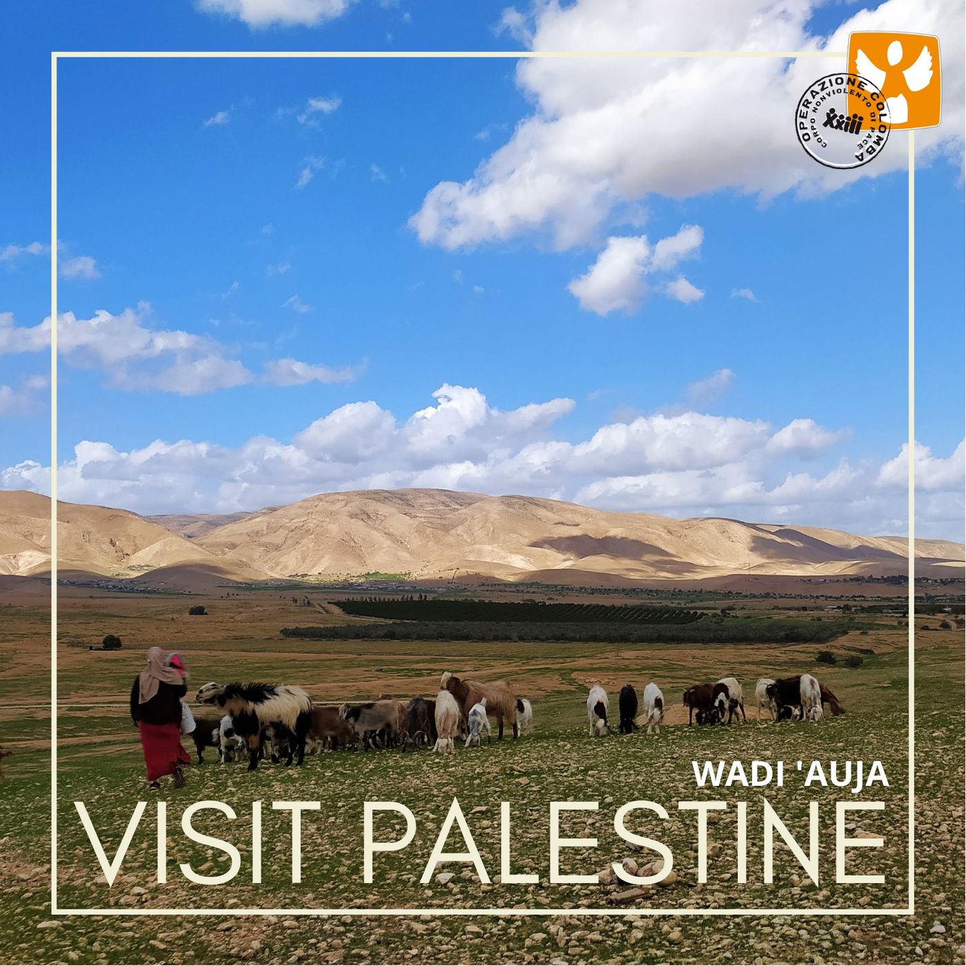 Visit Palestine: cartoline dai Territori Occupati