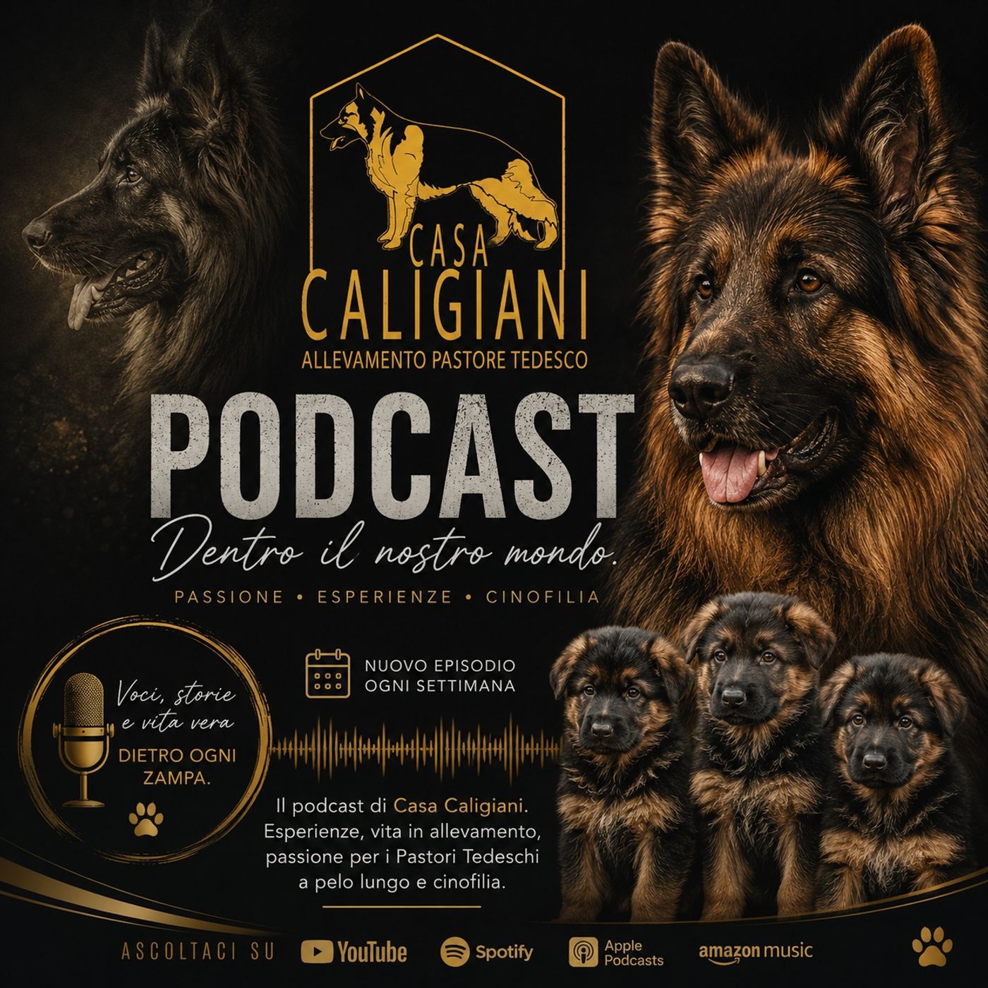 🎙️ Dentro Casa Caligiani