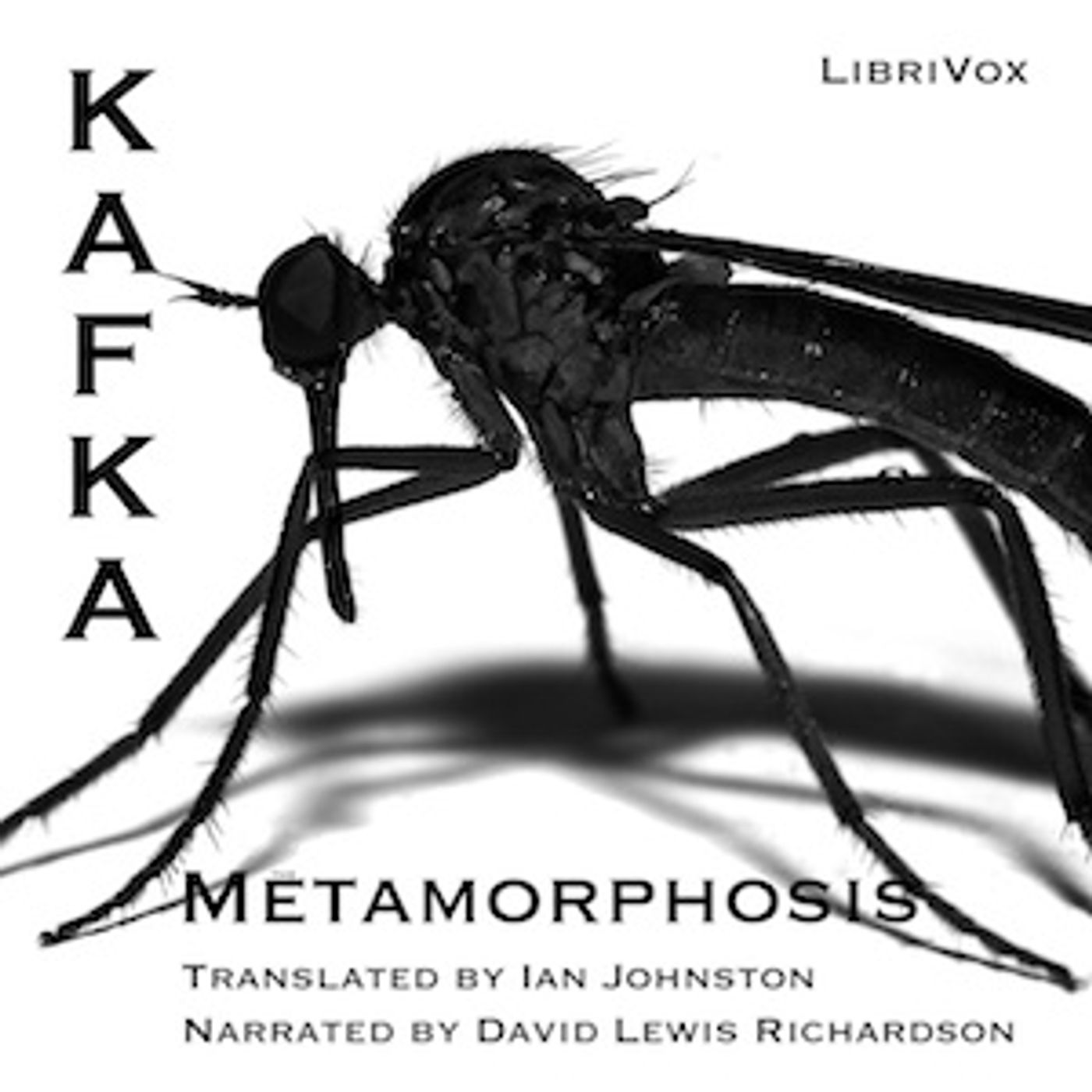 Franz Kafka - Metamorphosis (version 2) cover art