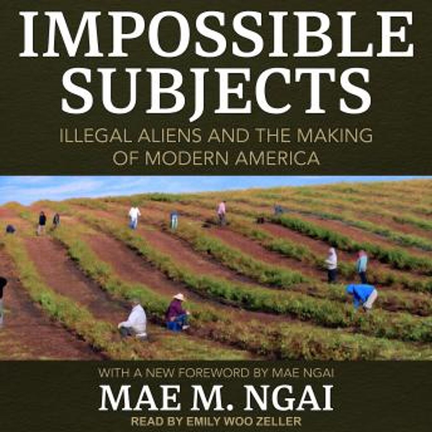 Impossible Subjects: Illegal Aliens and the Making of Modern America by Mae M. Ngai episode artwork