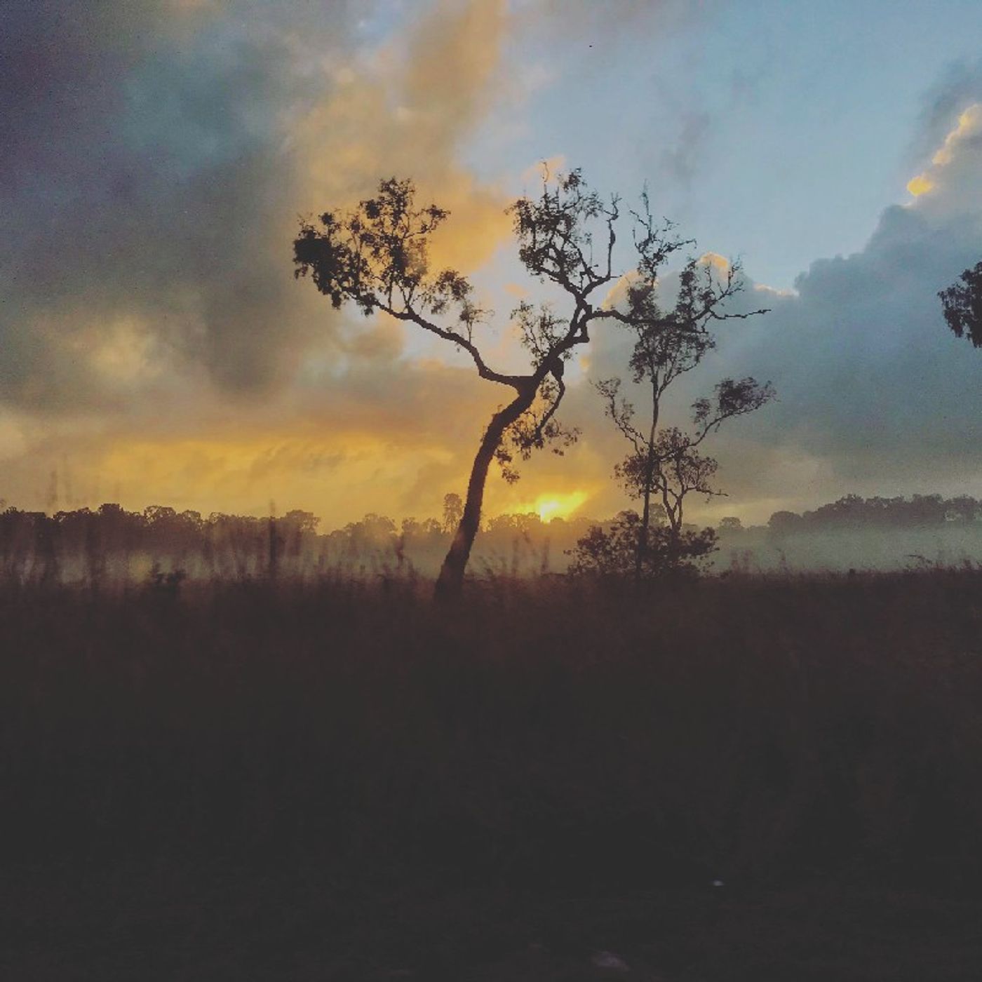 Garin James MUSICFEED