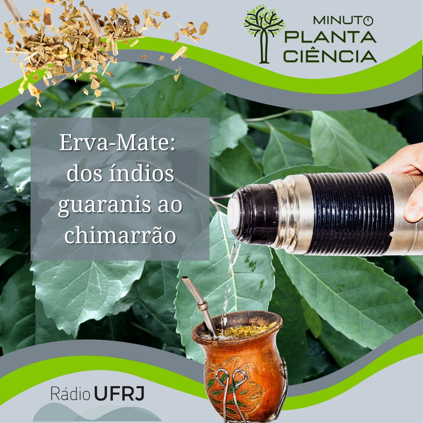 PlantaCiência