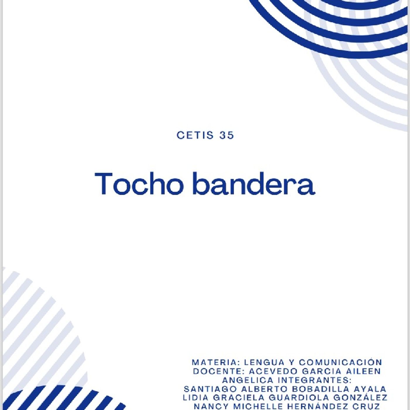 Tocho bandera episode artwork