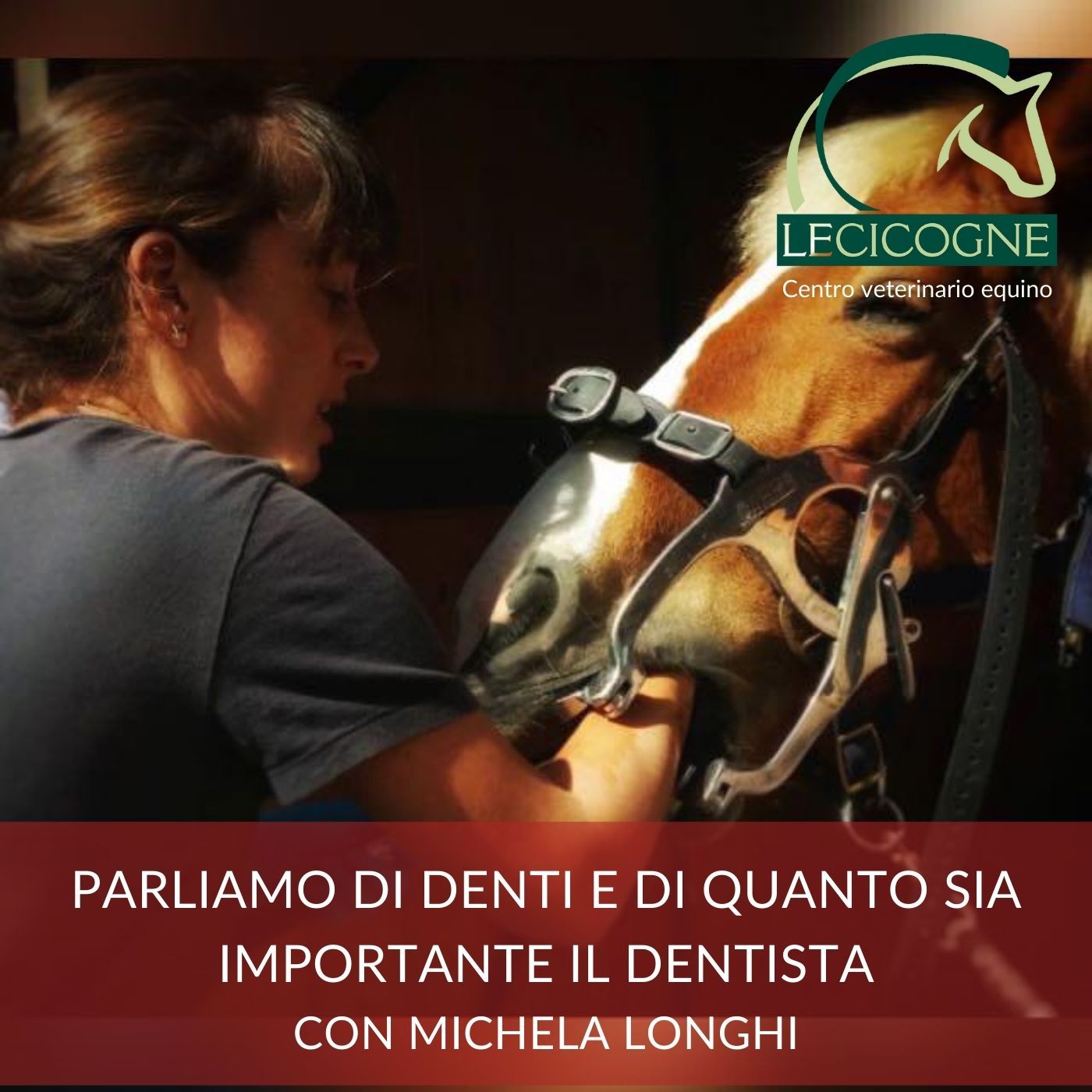 Parliamo di denti e di dentisti con la dott.ssa Michela Longhi