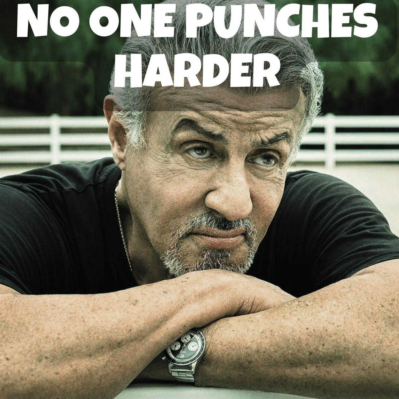 🎬 Directing Your Life: Sylvester Stallone on Resilience, Dreams, and Life’s Hardest Hits 💥