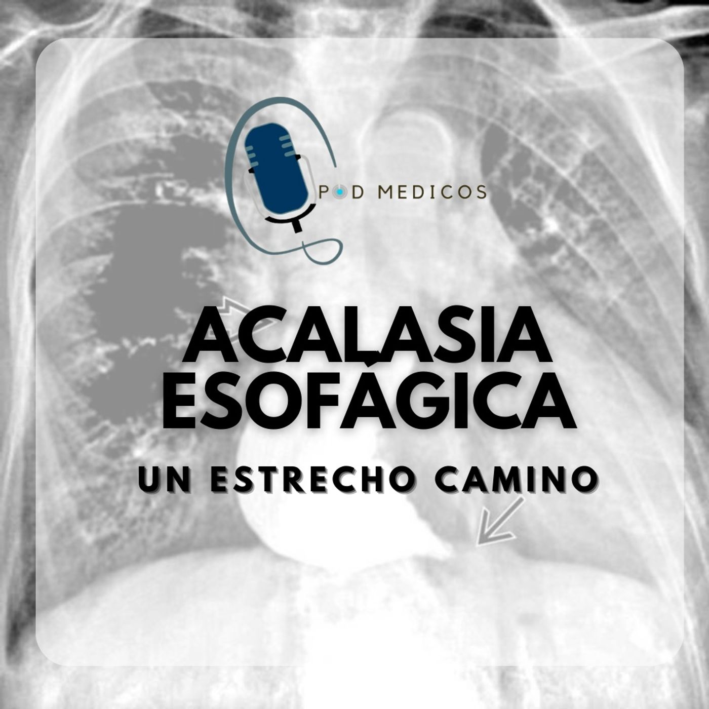 PodMedicos