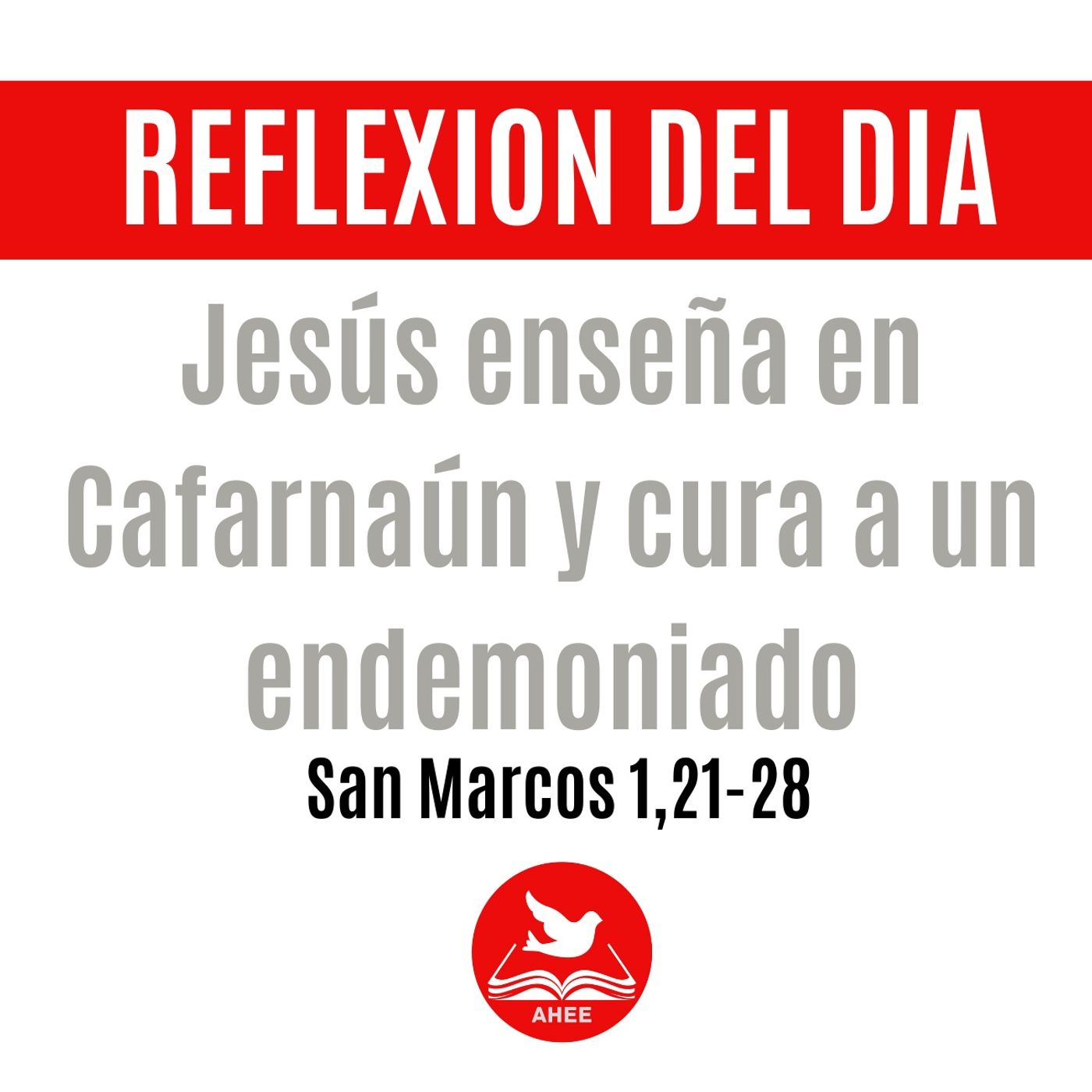 Reflexiones  del día