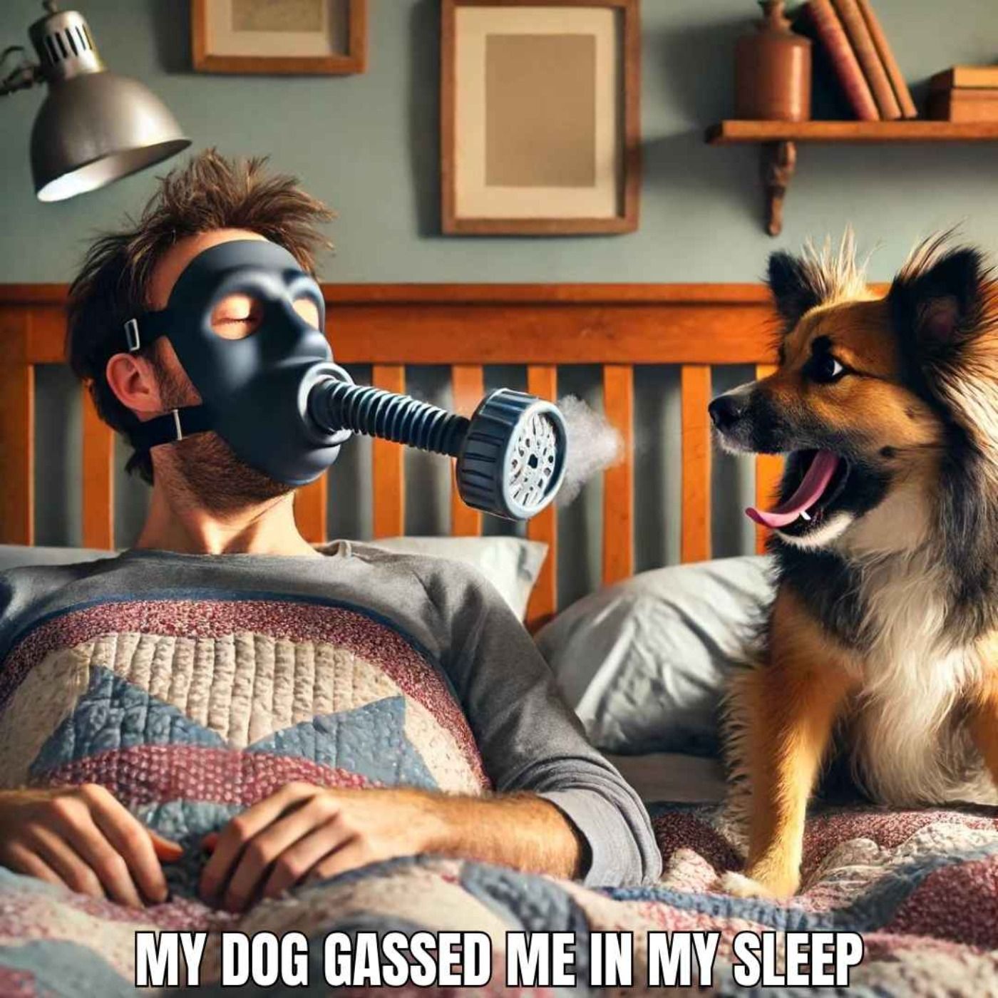 My Dog Gassed Me In My Sleep