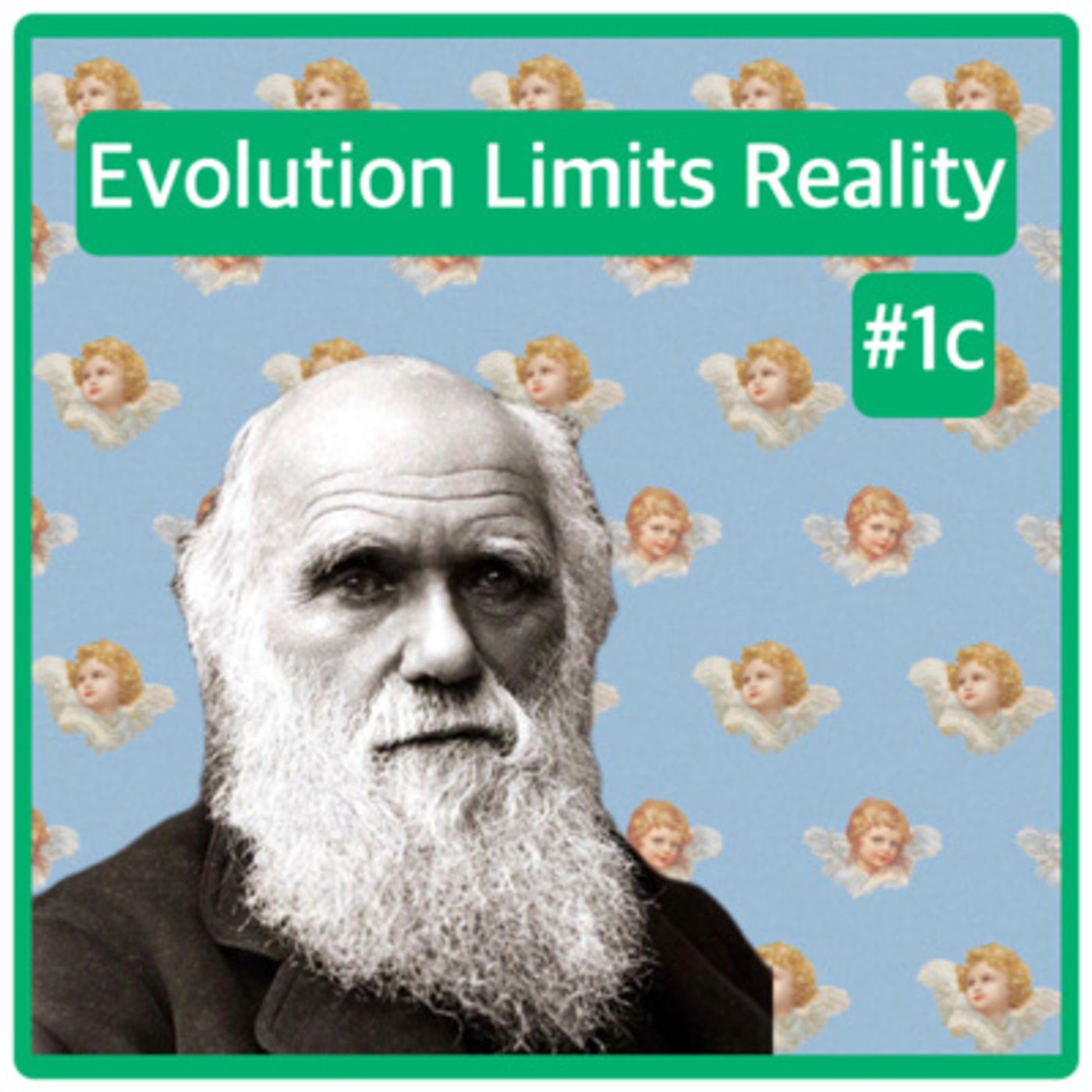 Clip 24 - Donald Hoffman Explains How Evolution Limits Reality On Lex Fridman episode artwork