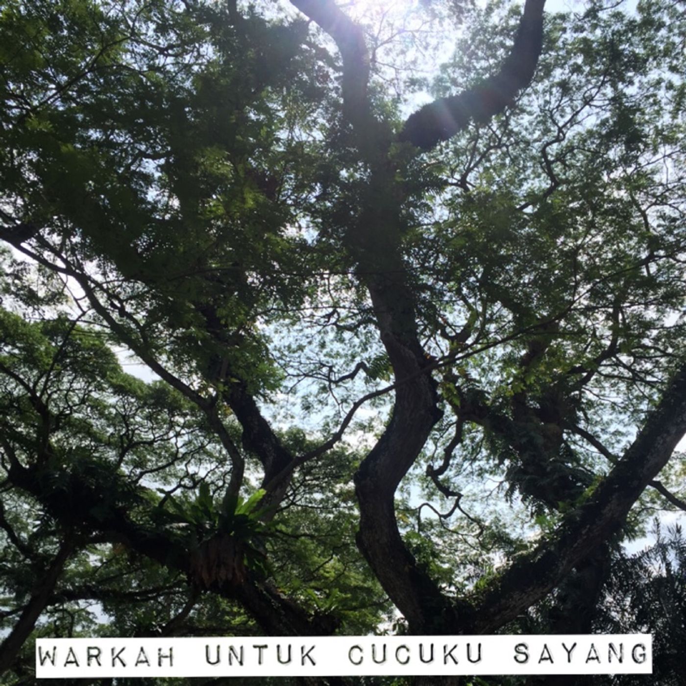 Warkah Untuk Cucuku Sayang