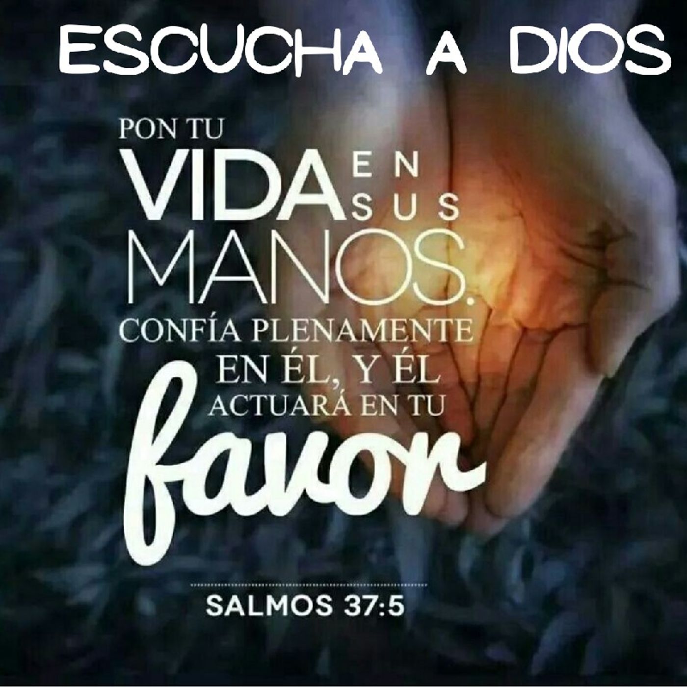 Reflexión Oasis Espiritual.  E. Lizcano