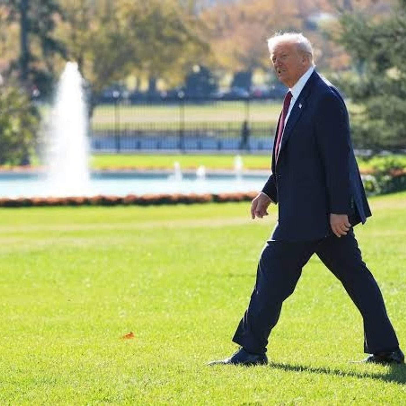 Is Trump recognizing GOP's shrinking chances in November 'No other way to look at it' Haberman episode artwork