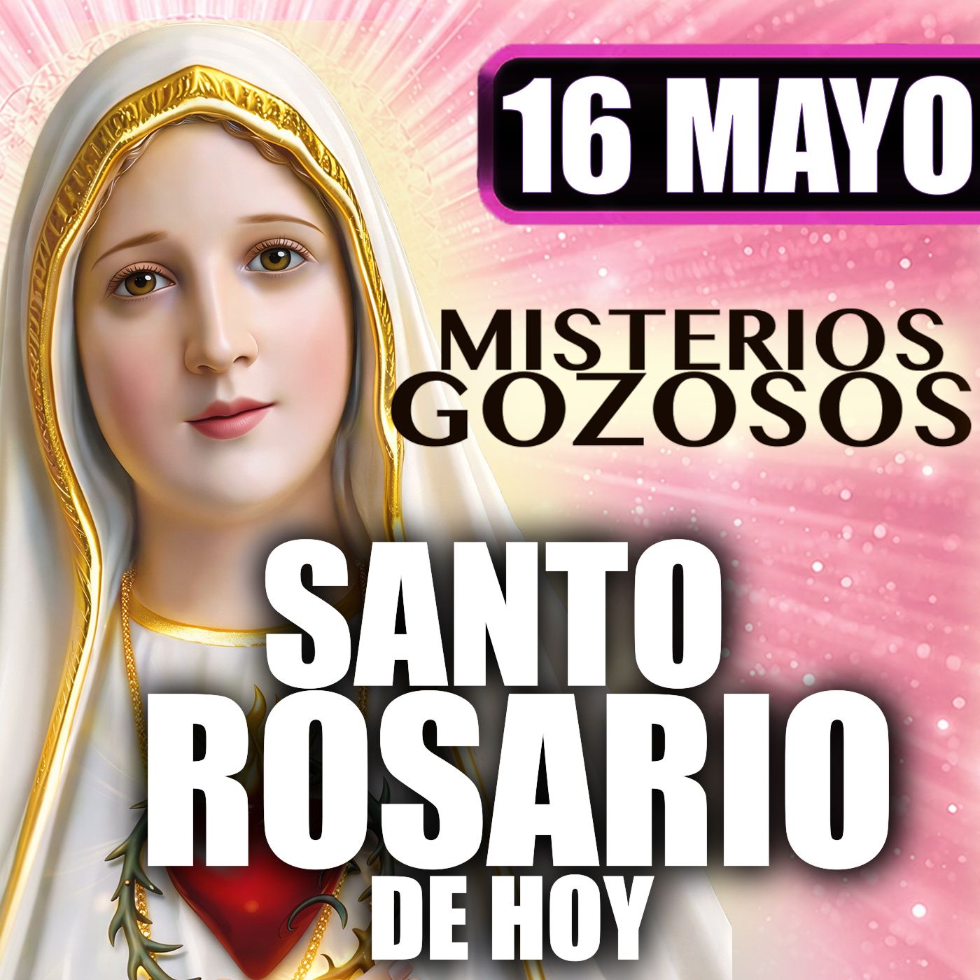 Santo Rosario Mes de María 🌸 16 de Mayo de 2026 | #MisteriosGozosos