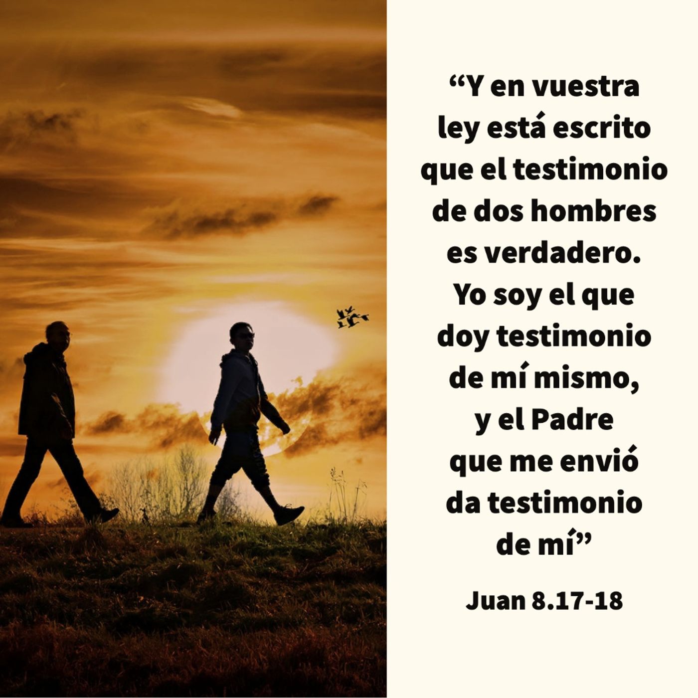 Ministerio UMCD - Un Momento Con Dios | Reflexiones Cristianas