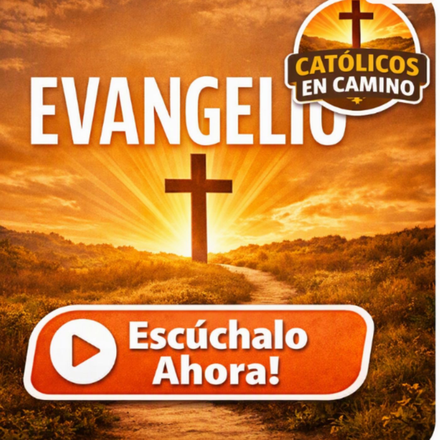 Santo Evangelio Diario Domingo XXII Ordinario episode artwork