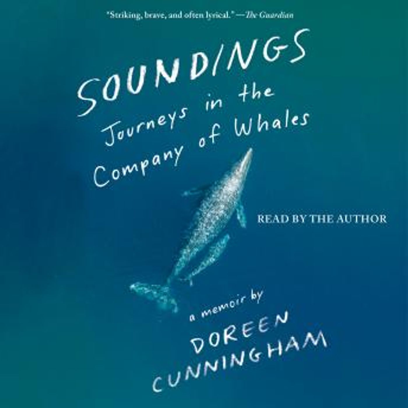 Soundings: Journeys in the Company of Whales: A Memoir by Doreen Cunningham episode artwork