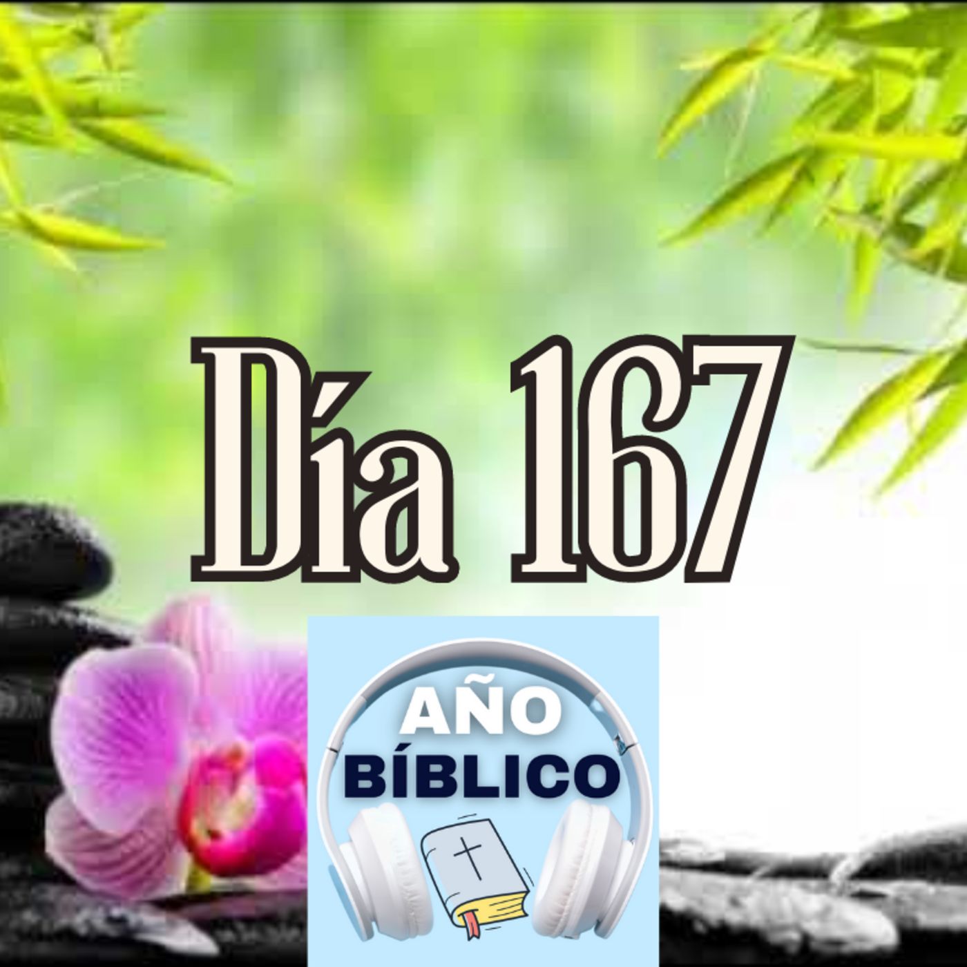 Día 167 - Salmos 72:15-20, 2 Reyes 15-16 y Hechos 27:1-15 episode artwork