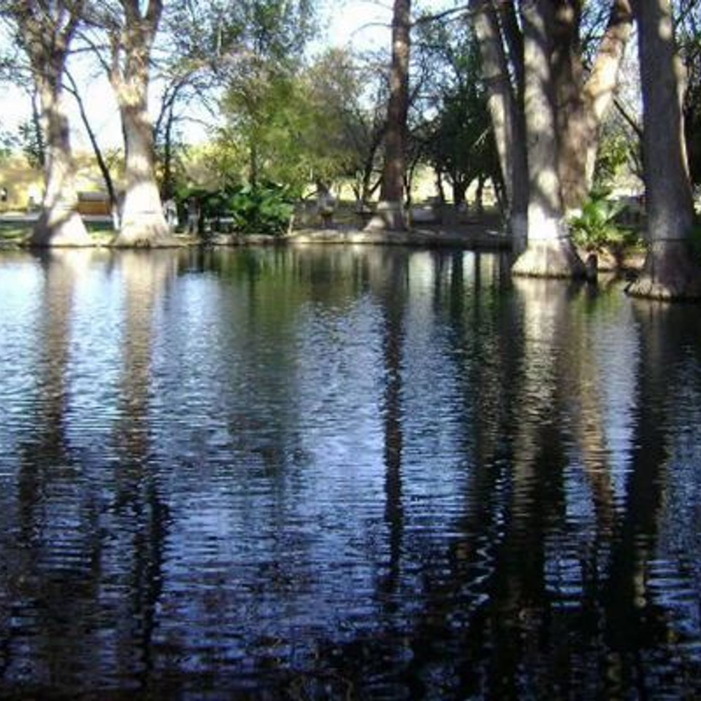 Historias de Miedo Junio 3 de 2022 NOS PASO ALGO CUANDO ACAMPAMOS