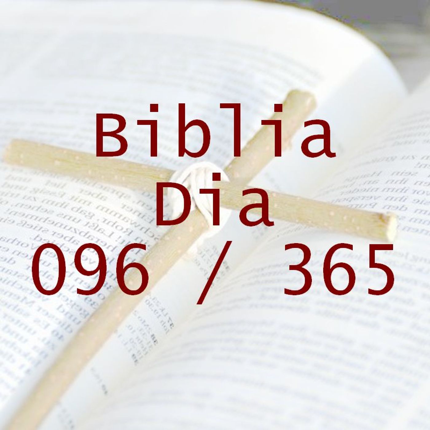 La Biblia en 365 dias