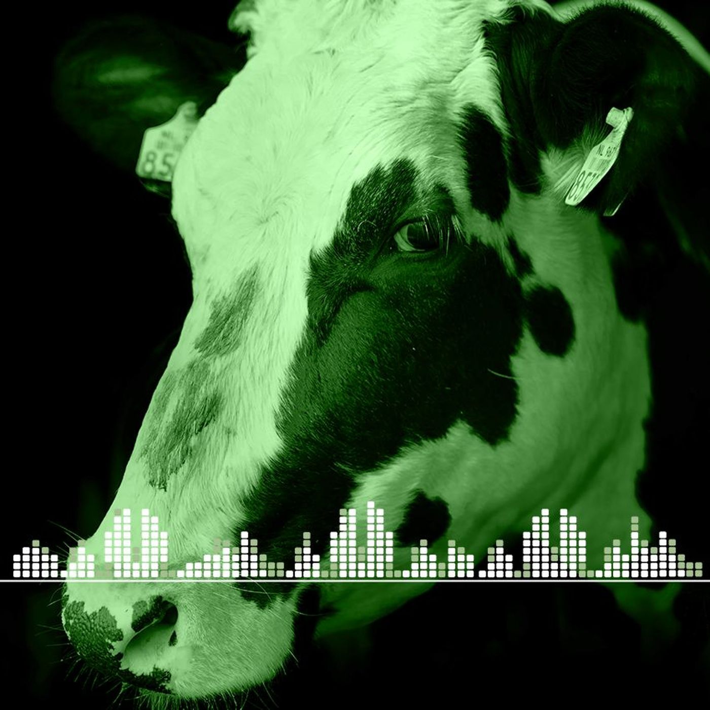 EuFMD