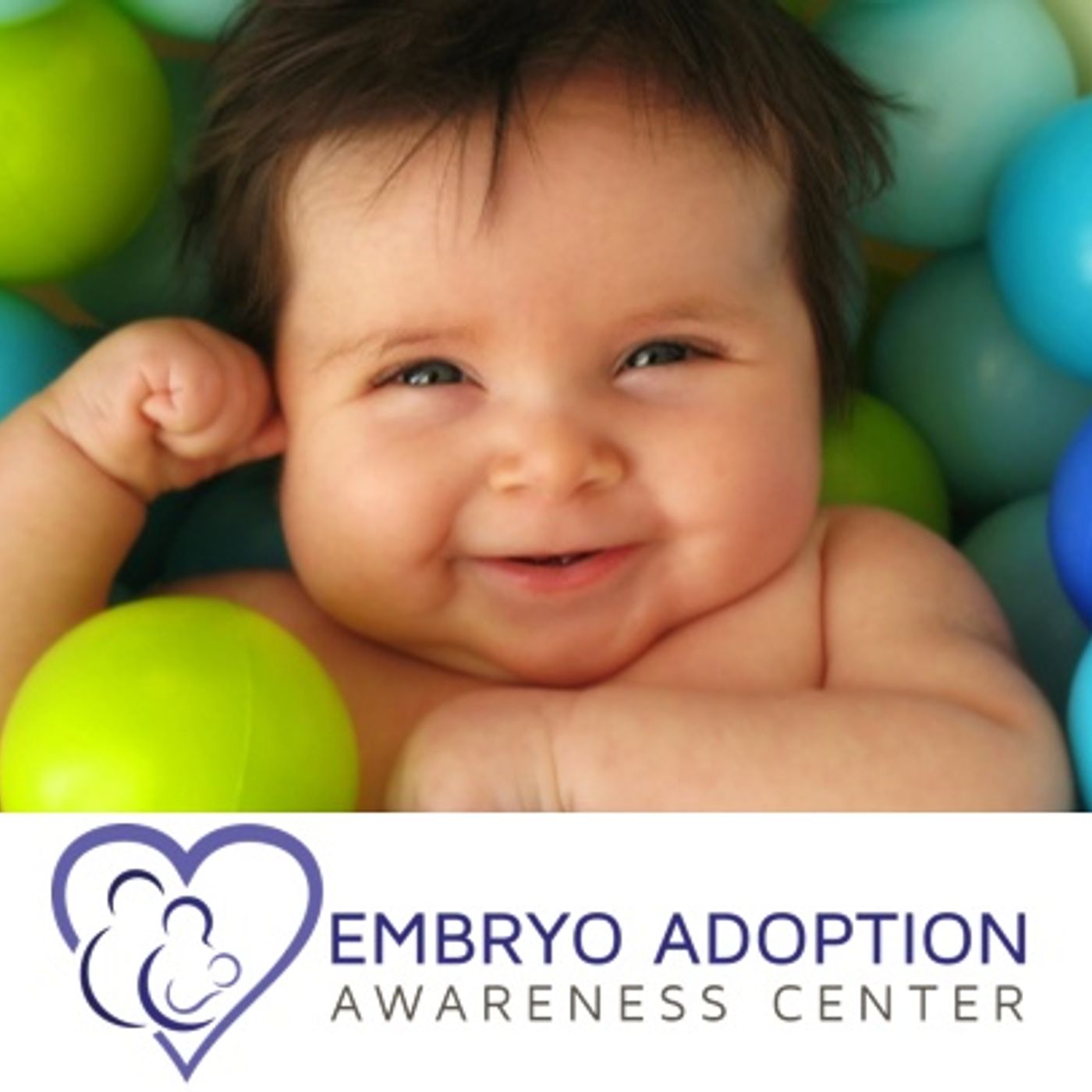 Education about Embryo Adoption podcast artwork
