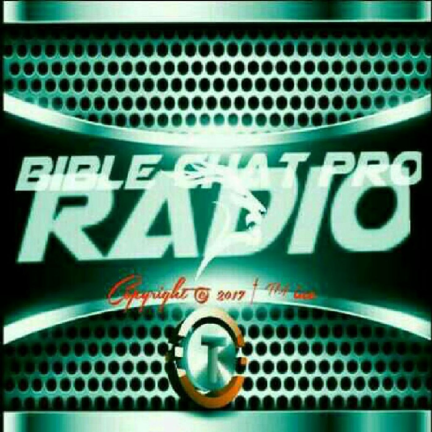Bible Chat Pro's show