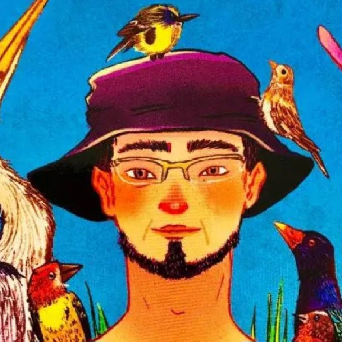 El heroe del humedal podcast artwork