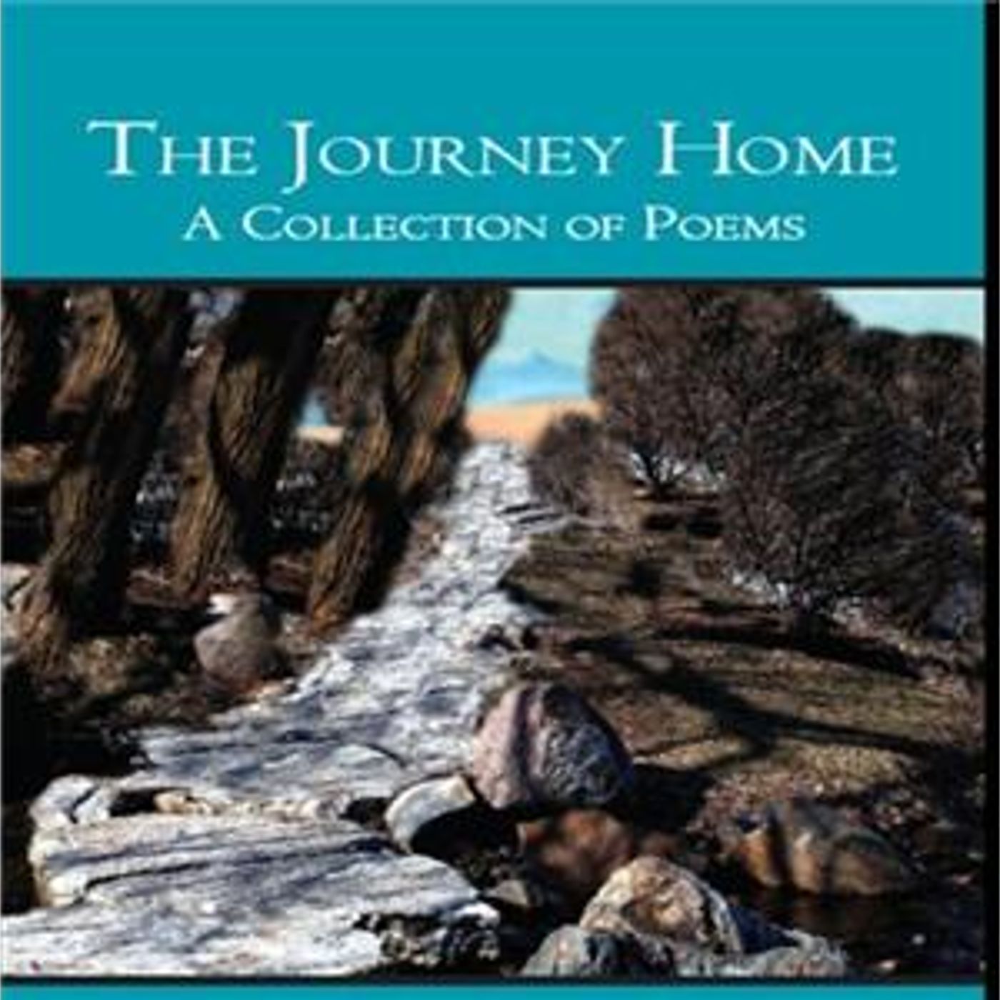 Bible Study w/ The Journey Home Outreach Ministres episode artwork