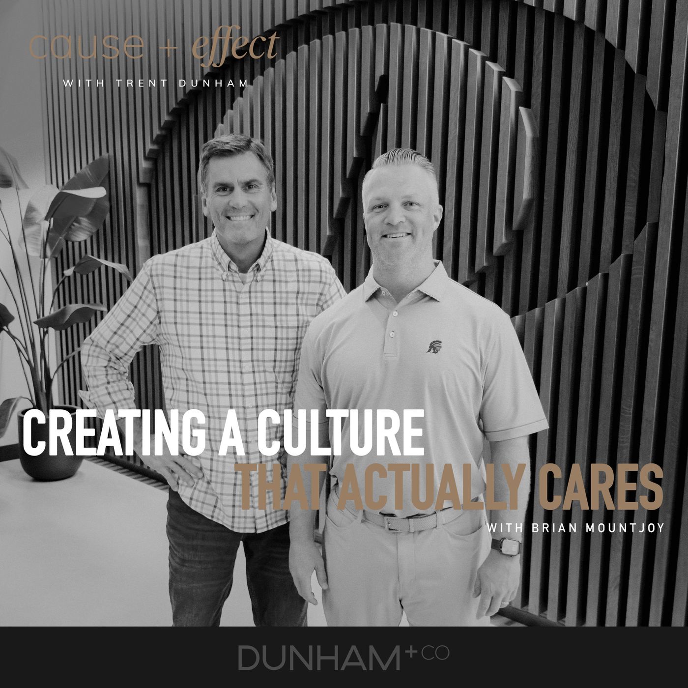 The Cause+Effect Podcast