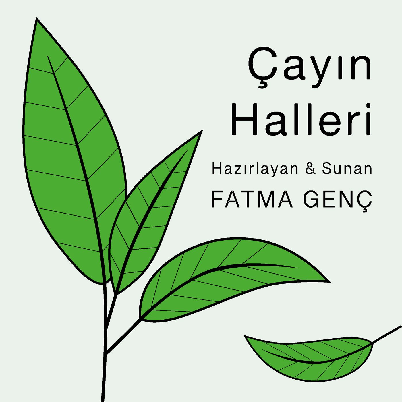 Çayın Halleri
