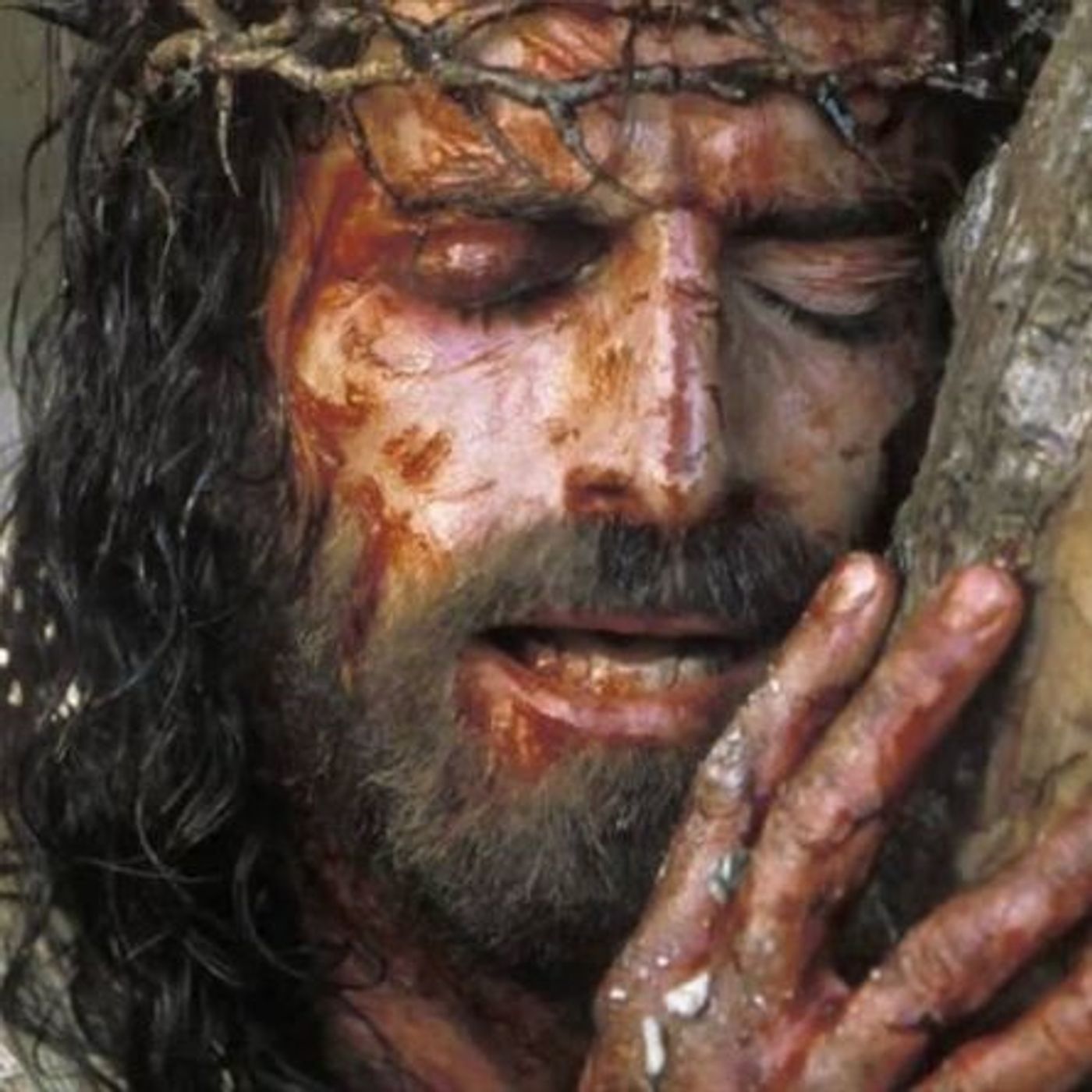 Bisogna baciare ogni croce che il Signore permette nella nostra vita