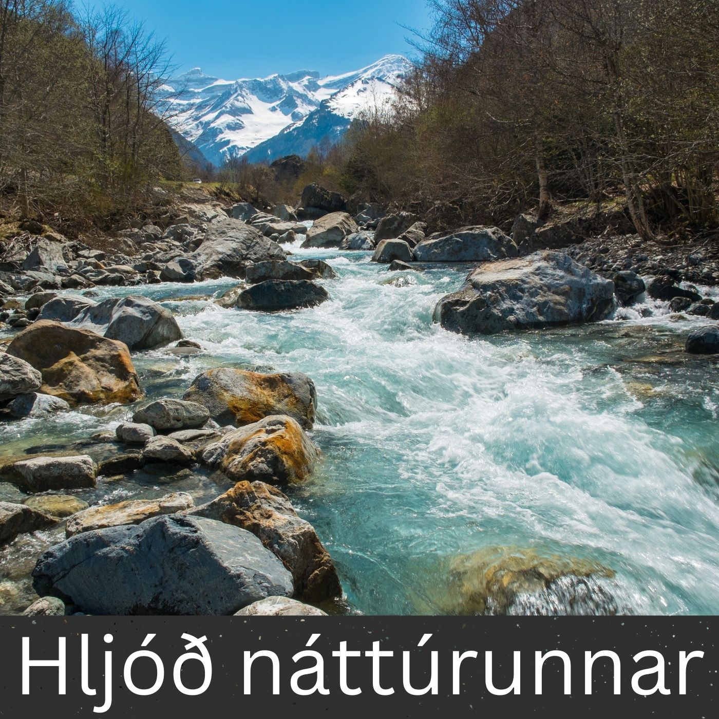 Hljóð náttúrunnar