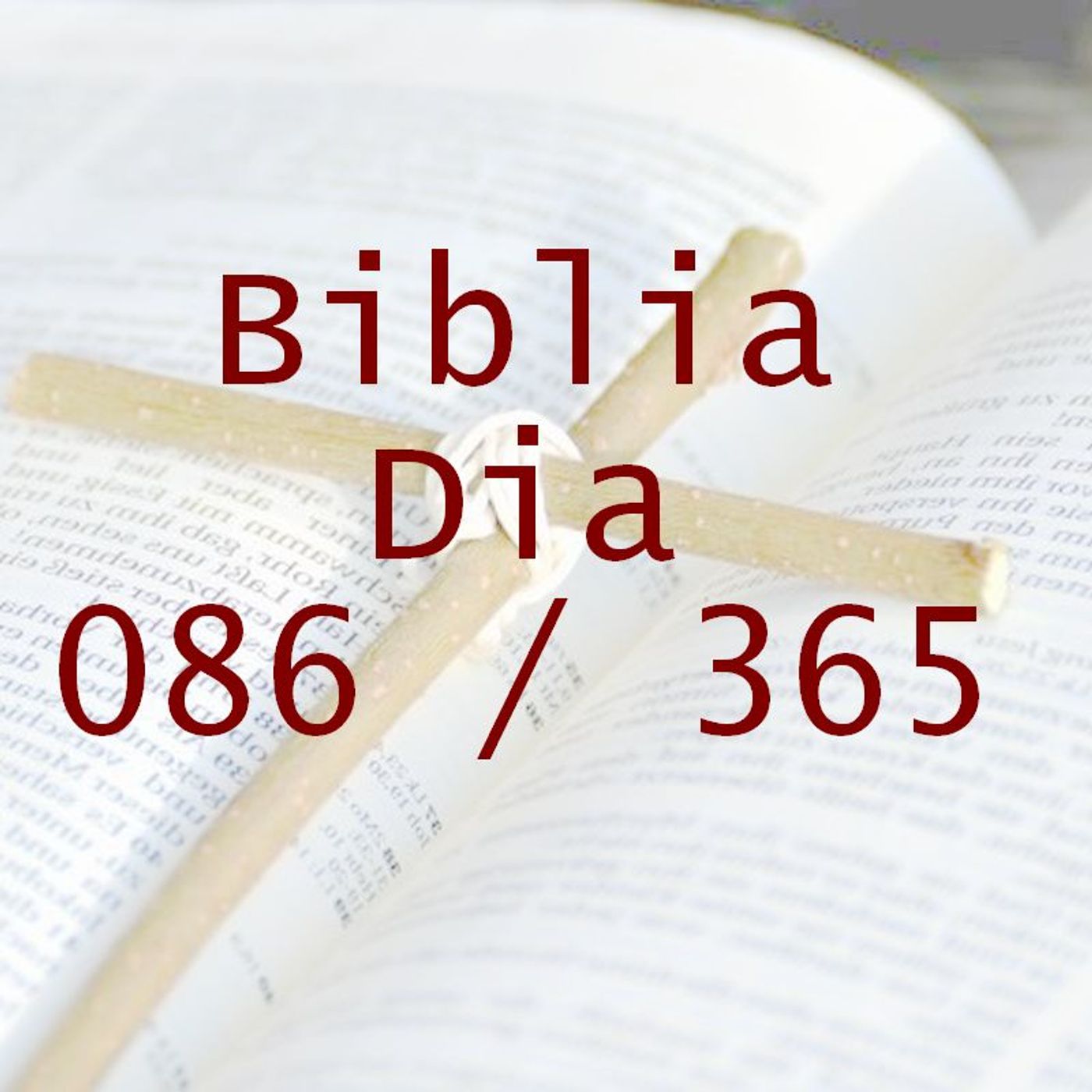 La Biblia en 365 dias